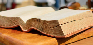 libro di legno wood emotion